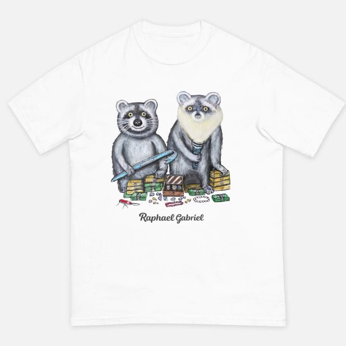 racoon3-700×700